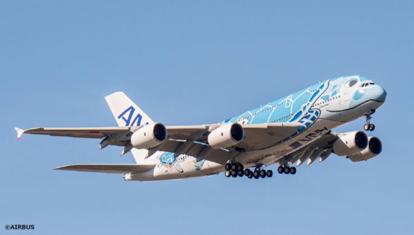 エアバスA380型機「FLYING HONU（フライング・ホヌ）」